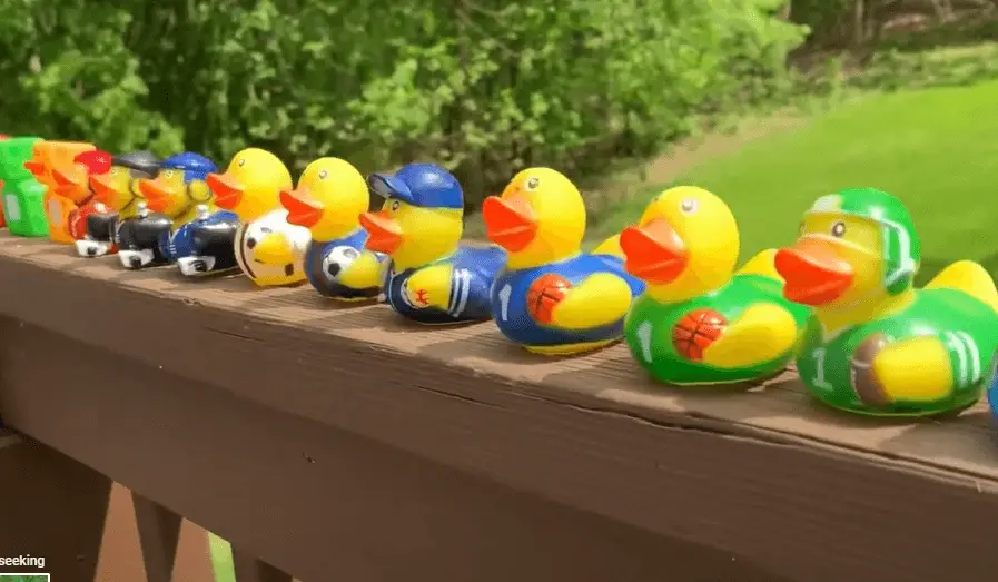 rubber ducks